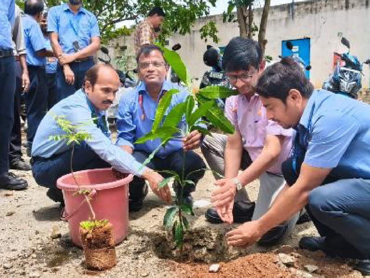 Veero Metals Celebrates World Environment Day