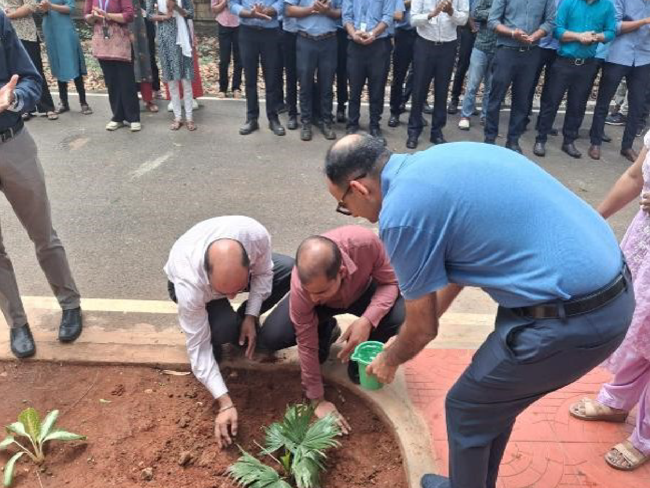 Veero Metals Celebrates World Environment Day
